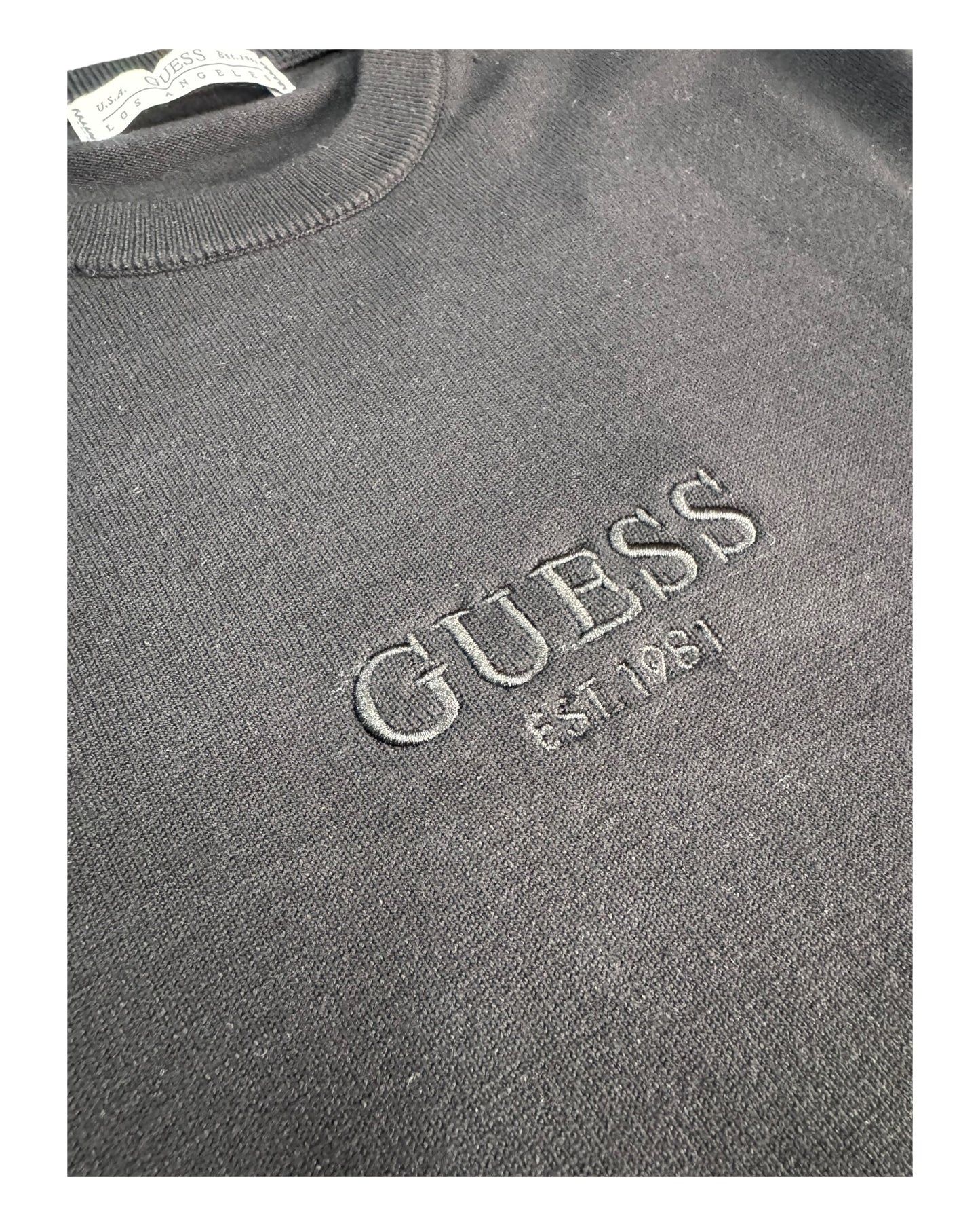 felpa uomo guess logo piccolo