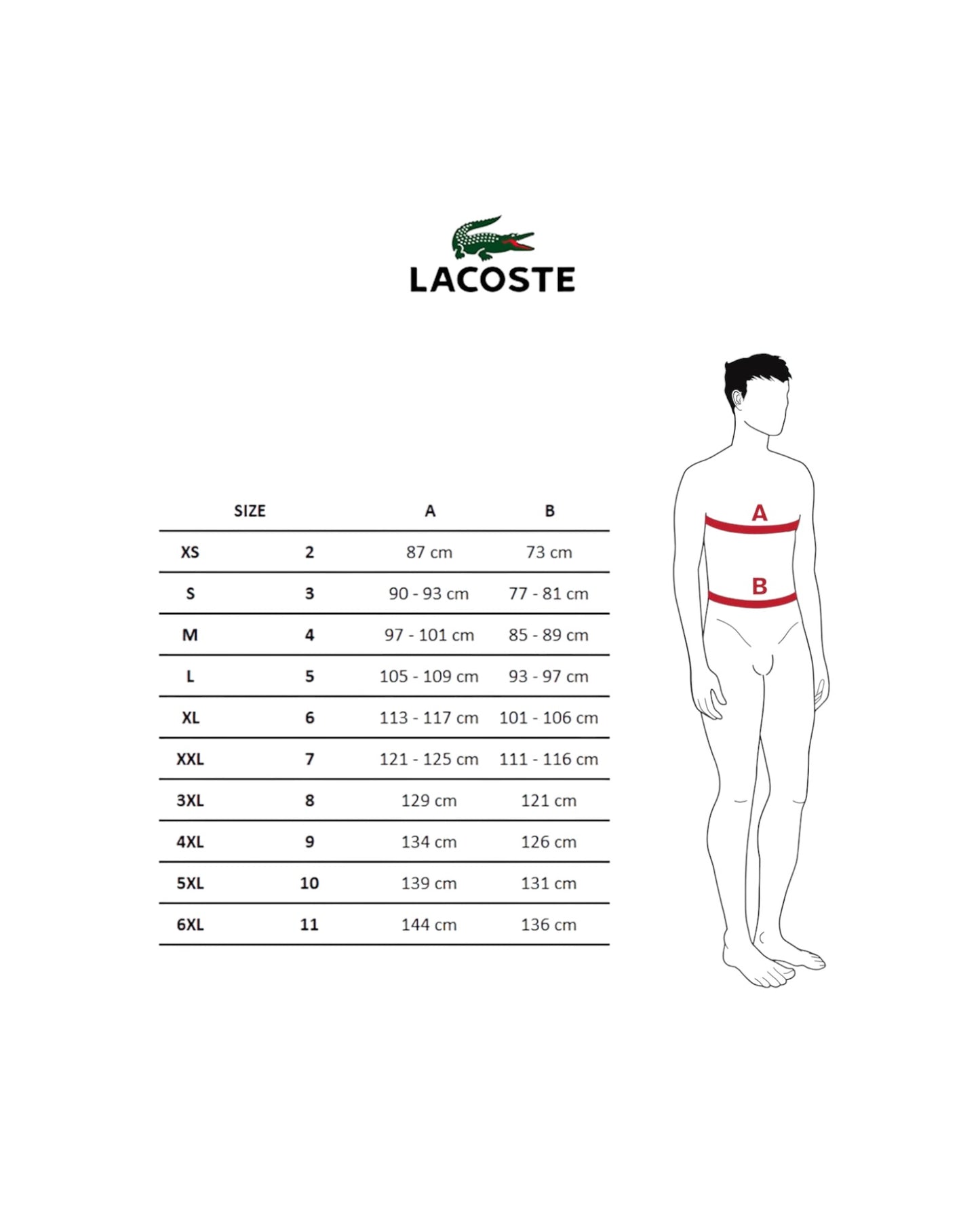 polo uomo lacoste