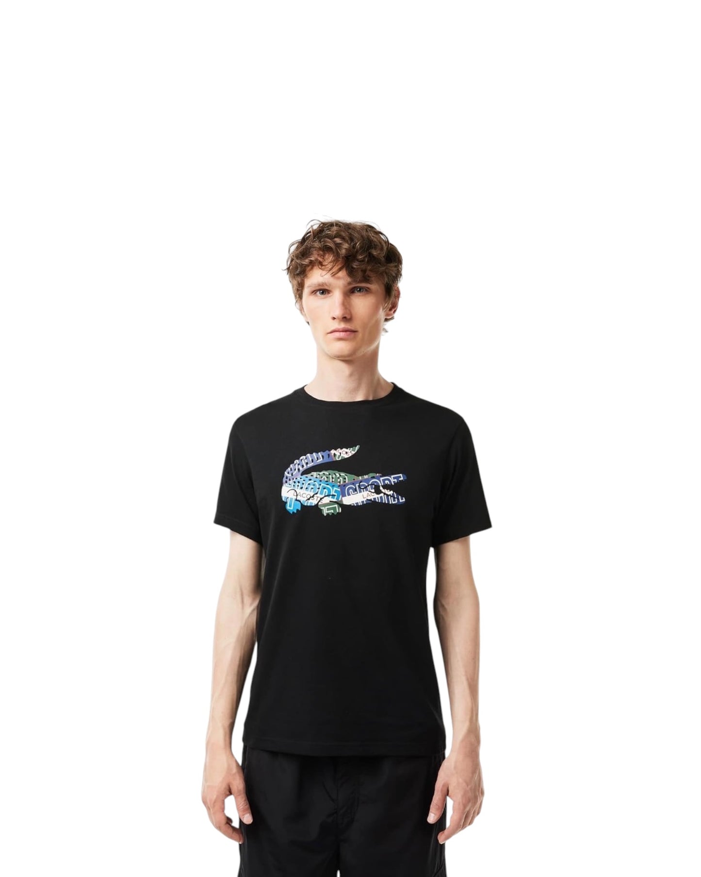 shirt uomo lacoste logo grande